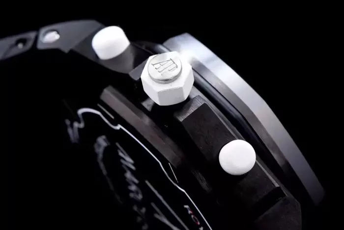 Audemars Piguet_110 - Image 4